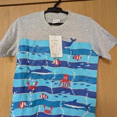 【未使用】子供服　Tシャツ3枚の画像