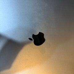 ディスプレイ交換済み MacBook Pro (16-inch, 2019) メモリ32GBの画像