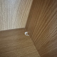 カラーボックスの画像