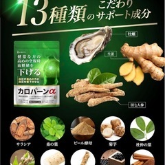カロバーンαサプリメント　西彼、長崎市、大瀬戸町相談可の画像