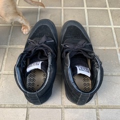 AIRWALK VLC 復刻モデル　9 1/2の画像