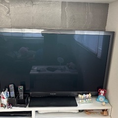 Panasonic VIERA55インチ