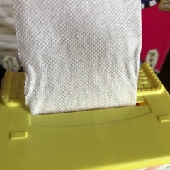 いたずら一歳やりたい放題
の画像