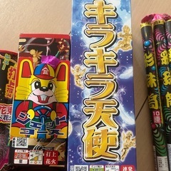 　値下げ可　定価半額以下　
花火の画像