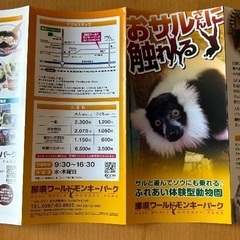 那須ワールドモンキーパークチケット　大人2枚　那須サファリパーク1000円引きクーポン付きの画像