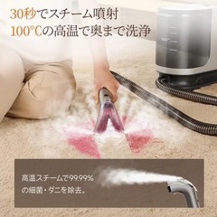 ポータブルカーペットクリーナー　西彼、長崎市、大瀬戸町相談可の画像