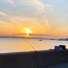 釣り仲間募集中🪣🎣