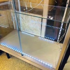 【倉庫保管中】　ガラスショーケース　コレクションケース　什器　可変式　前面ガラス Glass Showcase / Collection Case / Display Cabinet Adjustable Front Glassの画像