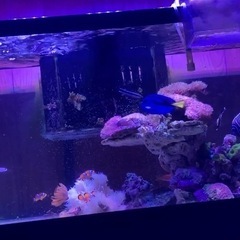 水槽の画像