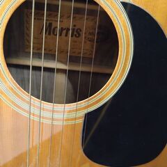 リユースのサカイ【浦和店】アコースティックギター モーリス W-25の画像