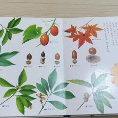 子ども　図鑑　8冊　学研　小学館　などの画像