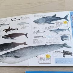 子ども　図鑑　8冊　学研　小学館　などの画像