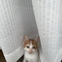 みんな新しい家族に迎え入れてもらいました(^-^)ありがとうござ...