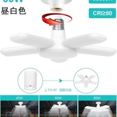 ミニLEDライト　西彼、長崎市、大瀬戸町相談可の画像