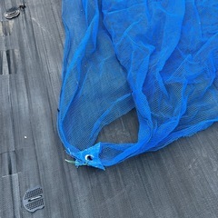 猫よけ、虫除け、ネット。の画像