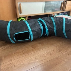 猫ちゃんのおもちゃの画像