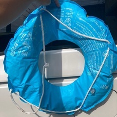 浮き輪55cmの画像