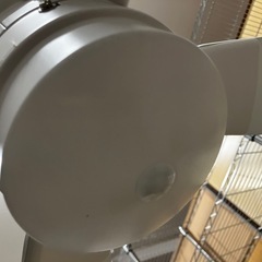 ロ2508-267 大光電機 サーキュレーター YCF004W 2014年製 中古の画像