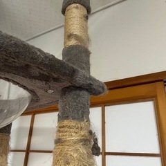 キャットタワーの画像