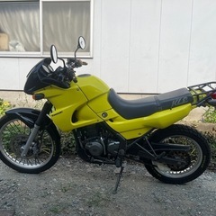 KLE250 カワサキの画像