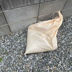 庭石　1袋/200円　　の画像