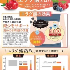 カロリンピュアサプリメント　西彼、長崎市、大瀬戸町相談可の画像