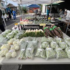 【柳井市阿月地区、日曜朝市のお知らせ】