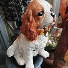 商談中犬の置物高さ25㌢市内の店先に居ますの画像