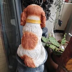 商談中犬の置物高さ25㌢市内の店先に居ますの画像