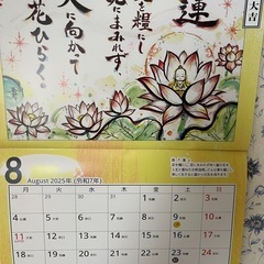 お盆特価‼️雨にも負けず、風にも負けず、睡蓮は咲き続ける🪷🌸の画像
