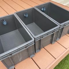 メダカ　飼育容器　約18L 3個セットの画像