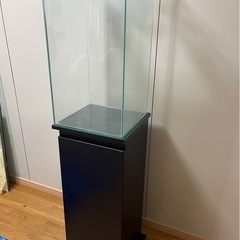30x30x55cmキューブ水槽 水槽台の画像