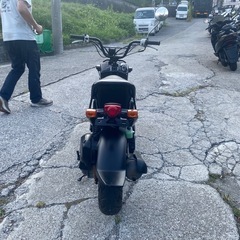 ズーマー50【366】の画像