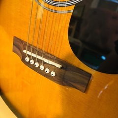 【武蔵小山店】 honey bee P-15 アコギ アコースティックギター Honey Bee P-15 Acoustic Guitarの画像