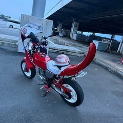 エイプの画像