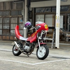 エイプの画像