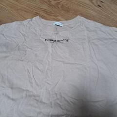 Tシャツの画像