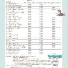八千代市トリミングサロンｃｈｕｌａｌａ〜ちゅらら〜🌺