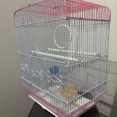 美品　鳥カゴ　バードケージ　ペット用品の画像