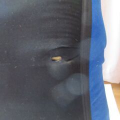 青いクッション座椅子②の画像