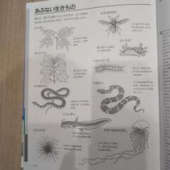 ふしぎをためすかがく図鑑　しぜんあそび　本の画像