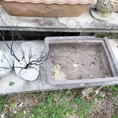 植木鉢　プランター　石など貰って下さいの画像