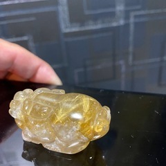 ルチルロングイの画像