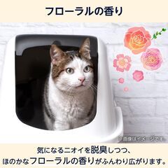 【10L×3袋・新品未開封】by Amazon 固まる紙の脱臭猫砂 フローラルの香りの画像