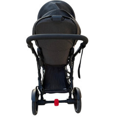 phil&teds Voyager V6 フィルアンドテッズ ボイジャーV６（2人乗りモデル）の画像