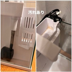 メダカ飼育セットの画像