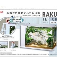 メダカ飼育セットの画像