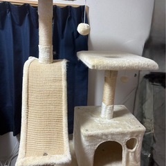 引渡し決まりキャットタワーの画像