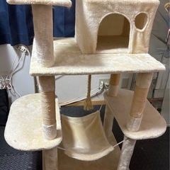 引渡し決まりキャットタワーの画像