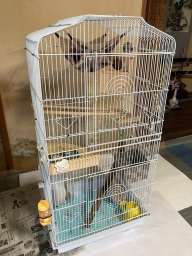 小動物用ケージ　シマリス飼育